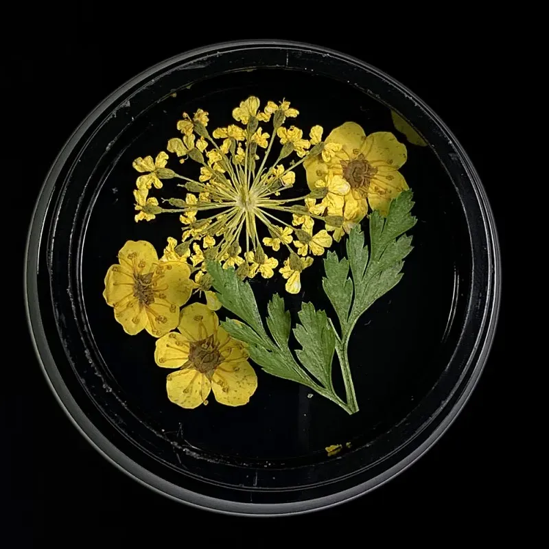 Indigo Nails Beautystones Yellow tørrede blomster til negle
