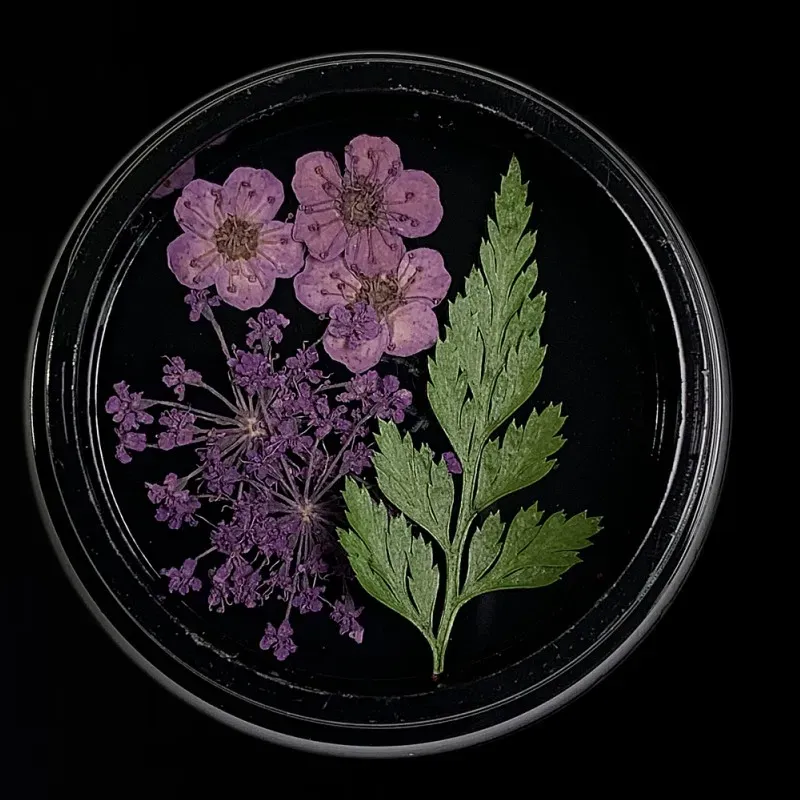 Indigo Nails Mauve Dried Flowers tørrede negleblomster