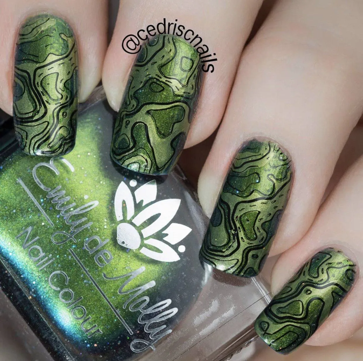 Clear Jelly Stamper Adventure Begins CjS-67 stampingplade outdoor