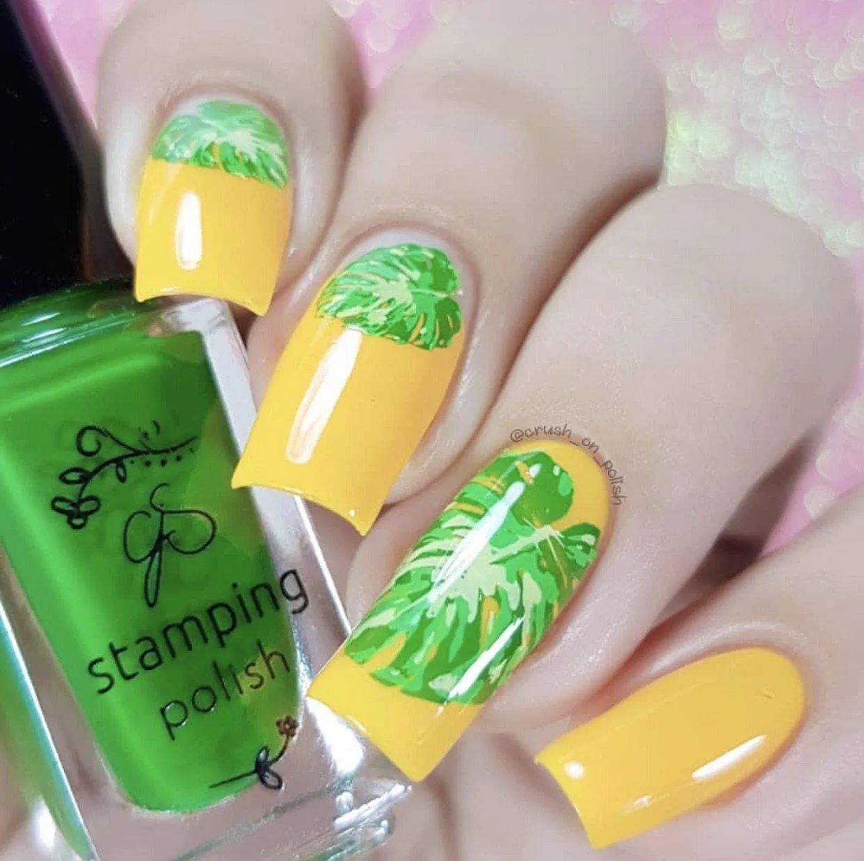 Clear Jelly Stamper CjS-38 Tropical stampingplade blade blomster