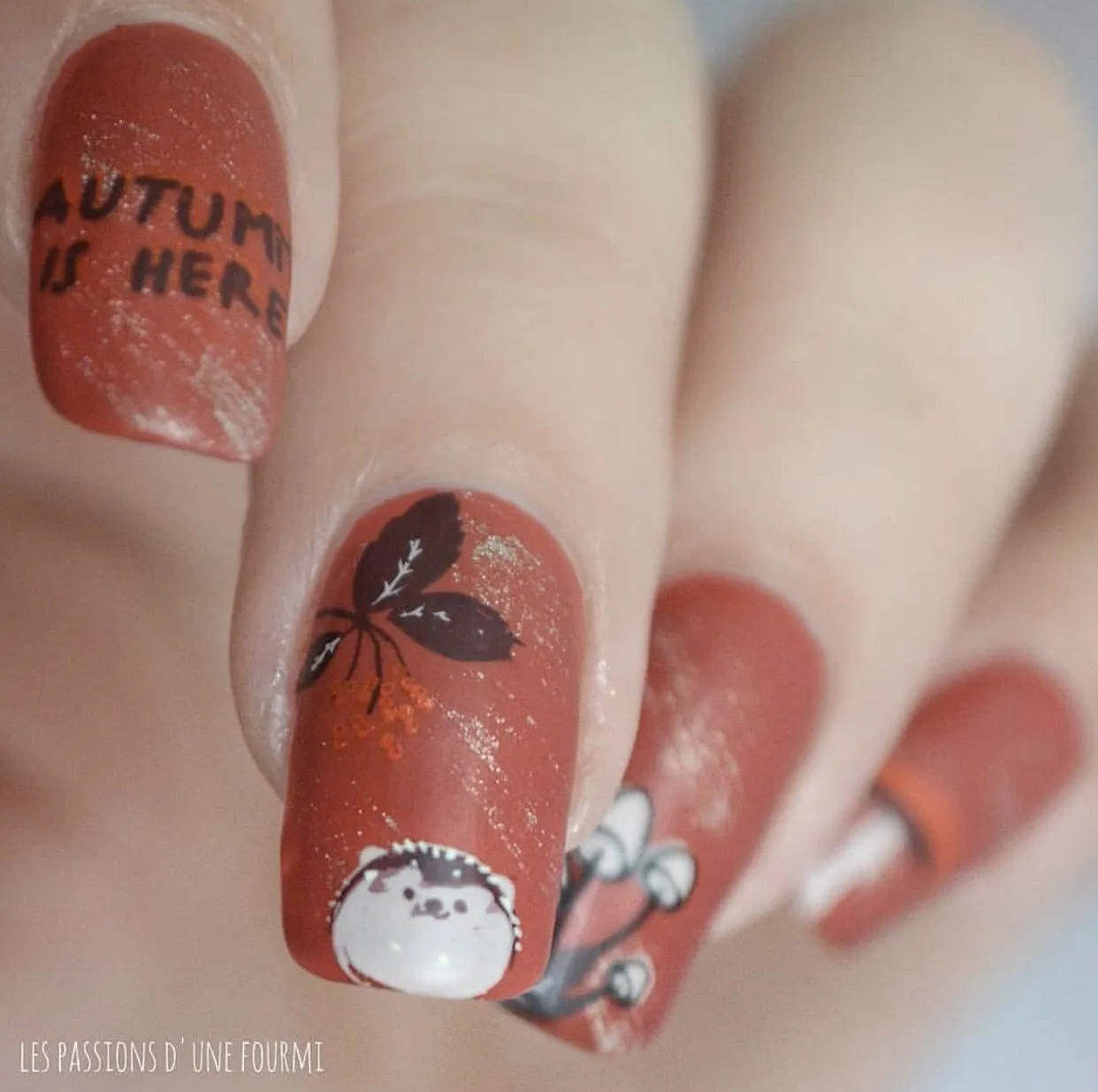 Clear Jelly Stamper CjS-135 Autumn is Here stampingplade efterår
