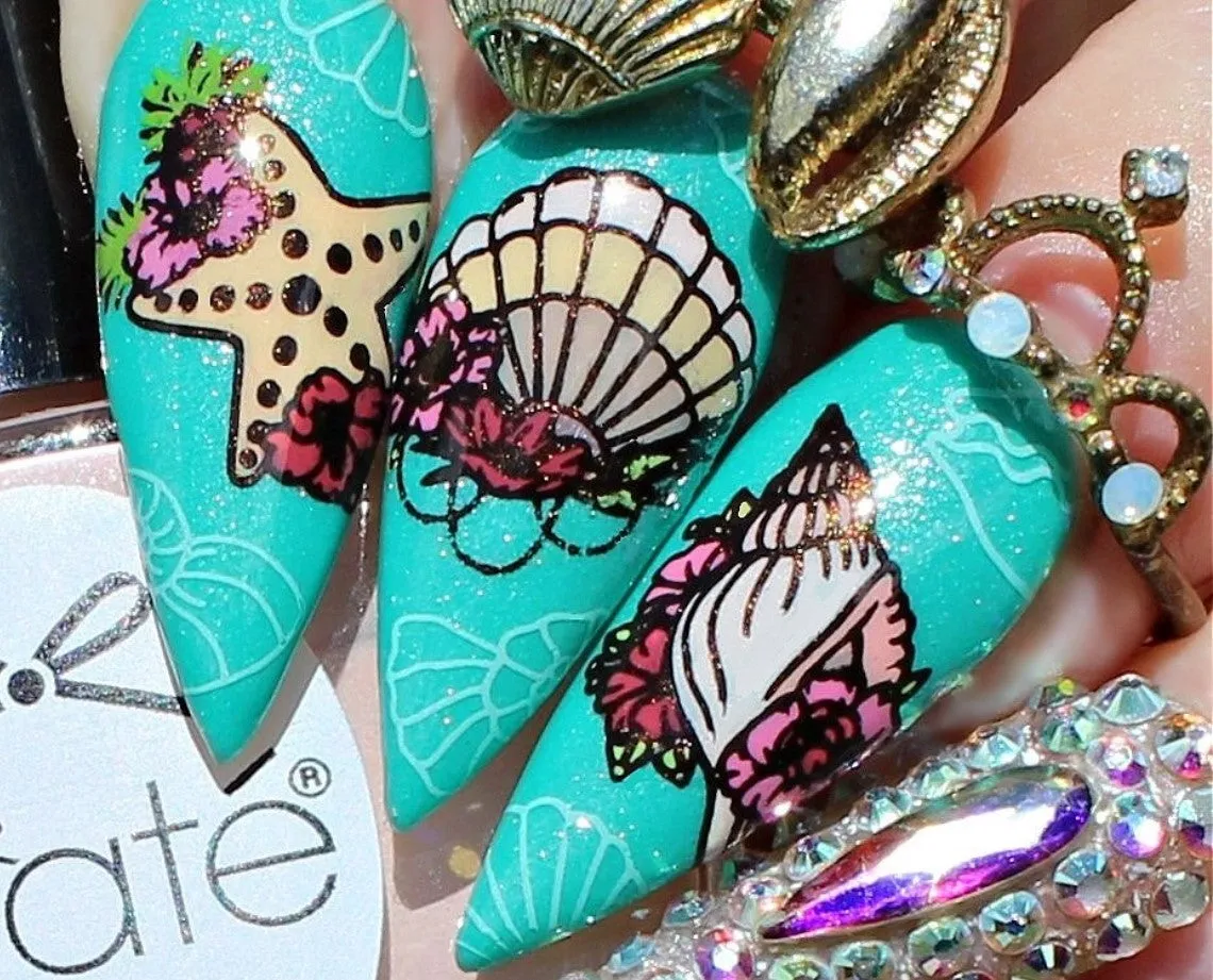 Clear Jelly Stamper BS-03 Shell Belle stamping plade hav
