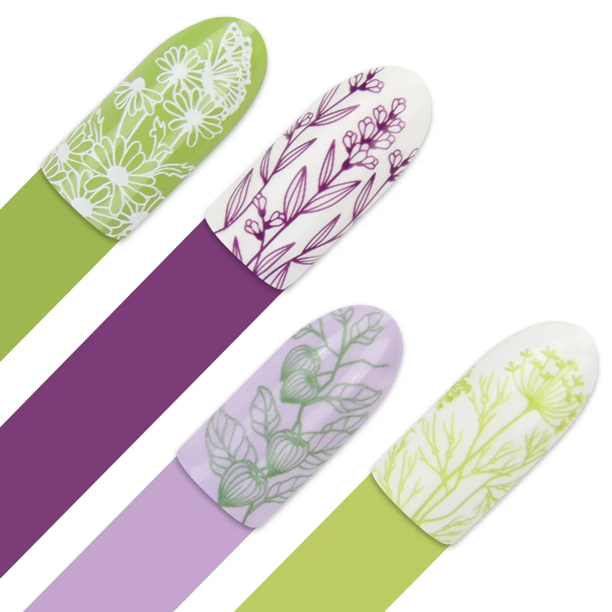 Moyra Stamping 91 Spicery stampingplade botanisk