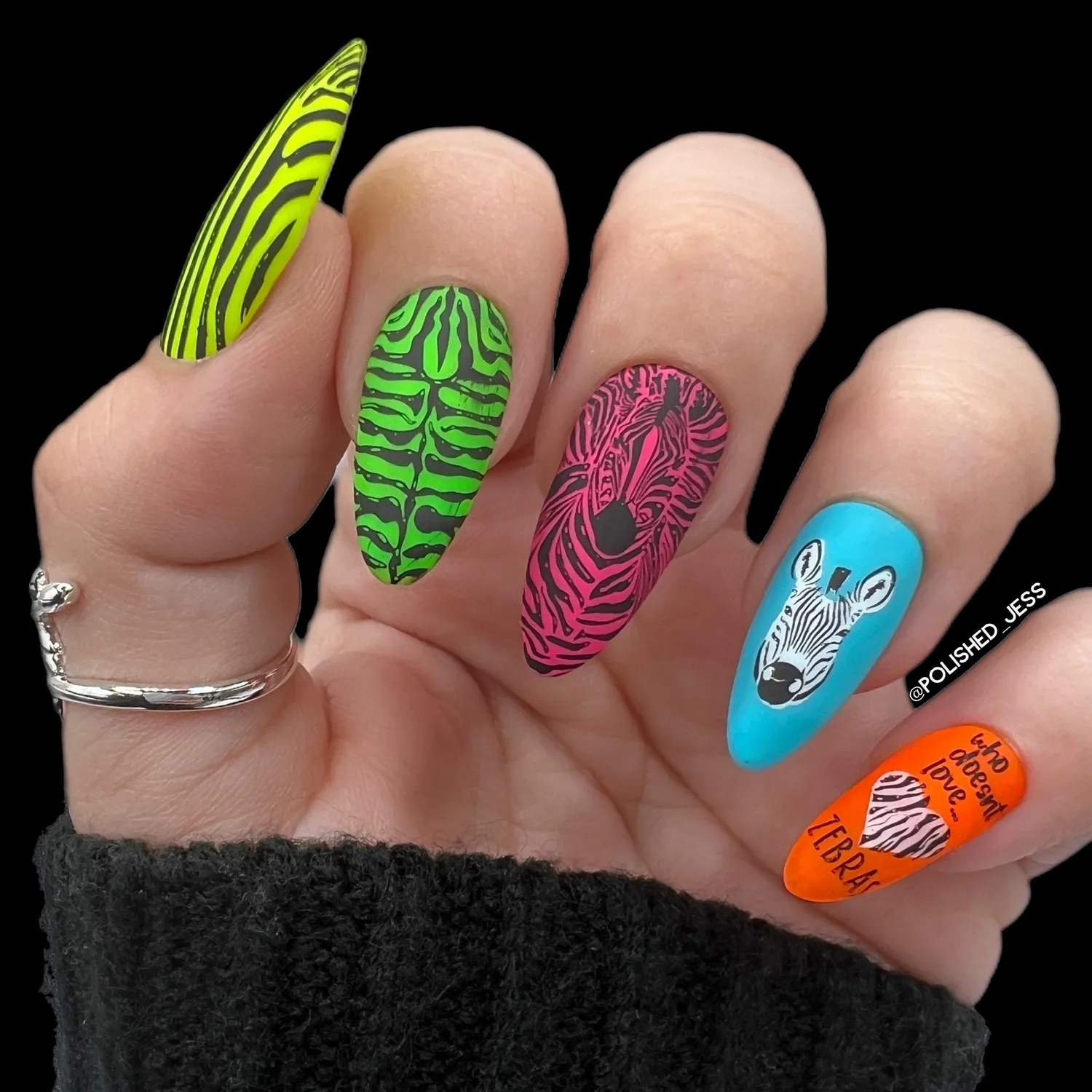 Clear Jelly Stamper Wild Zebra CjS-175 stampingplade dyr