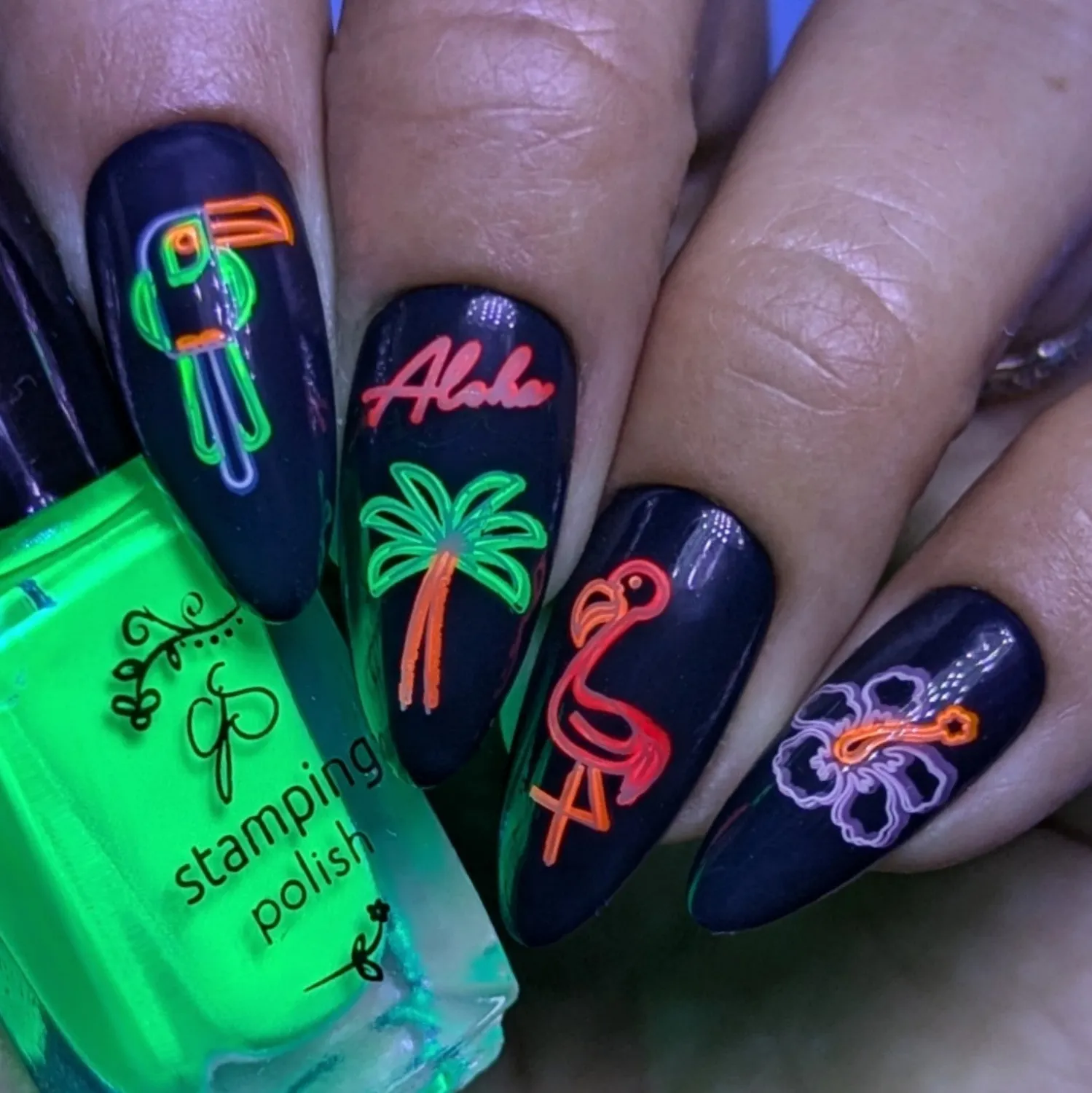 Clear Jelly Stamper CJS-366 Neon Summer stamping plade sommer