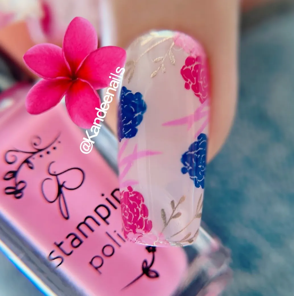 Clear Jelly Stamper Beginner Edition B-Six stempelplade 14x9