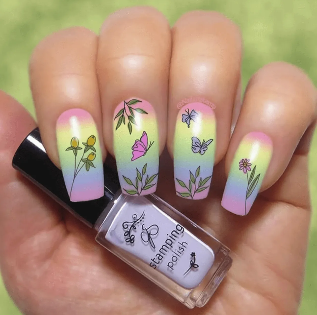 Clear Jelly Stamper Walk Meadow CjS-236 stamping plade eng 8x8