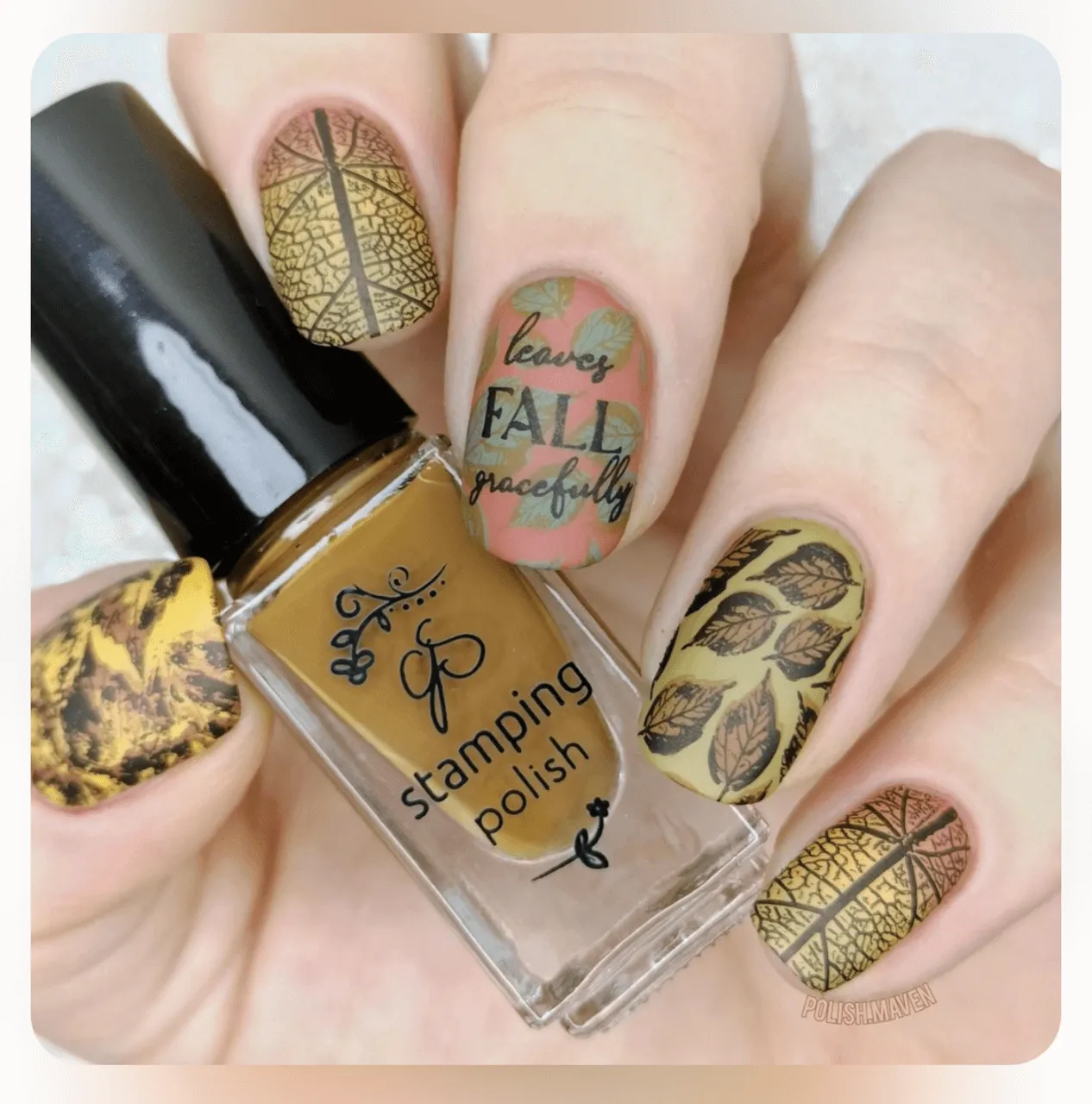 Clear Jelly Stamper CjS-318 Graceful Leaves stampingplade efterår