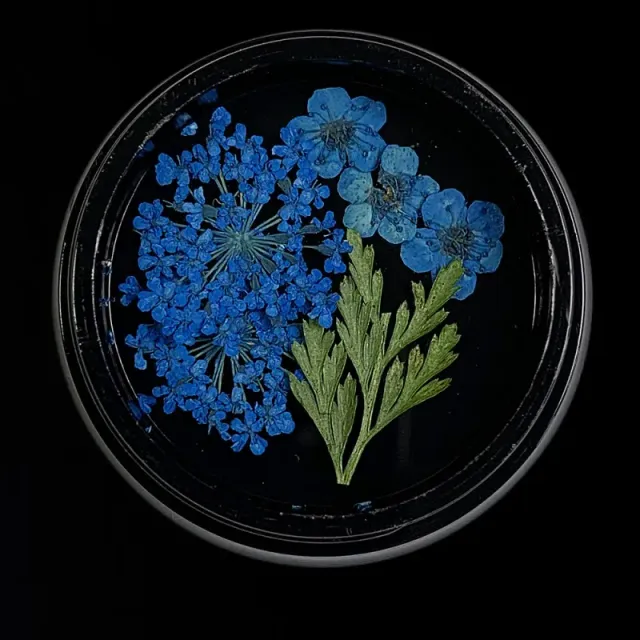 Indigo Nails Blue Dried Flowers tørrede blomster