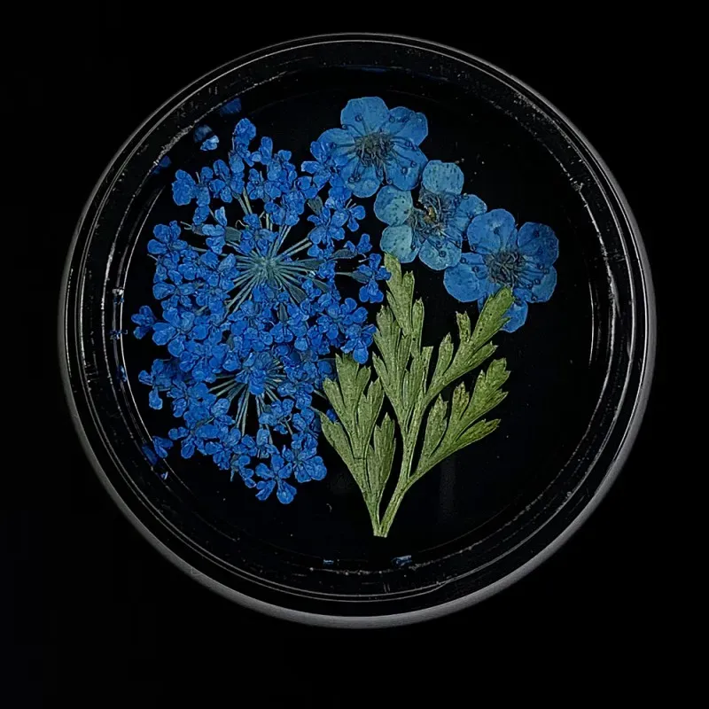 Indigo Nails Blue Dried Flowers tørrede blomster