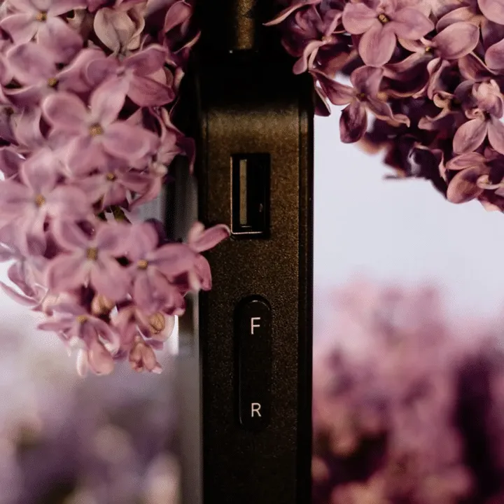 Mline Beauty DG 902 trådløs elfil 40W 40000 omdr.
