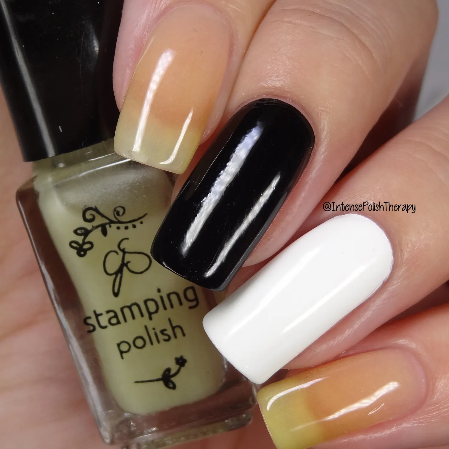 Clear Jelly Stamper Glow stamping lak 5 ml selvlysende