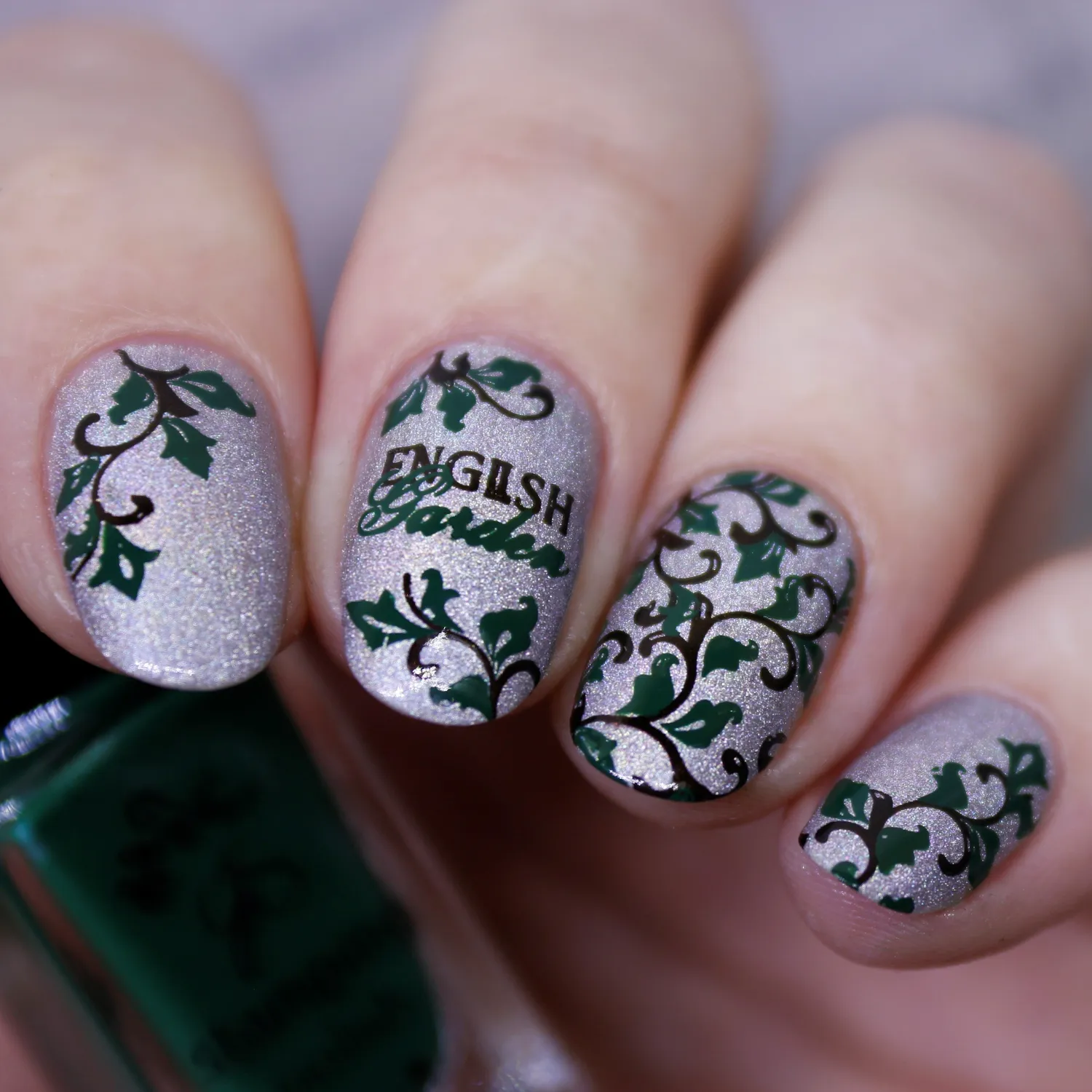 Clear Jelly Stamper English Garden Swirls CjS-173 stampingplade floral