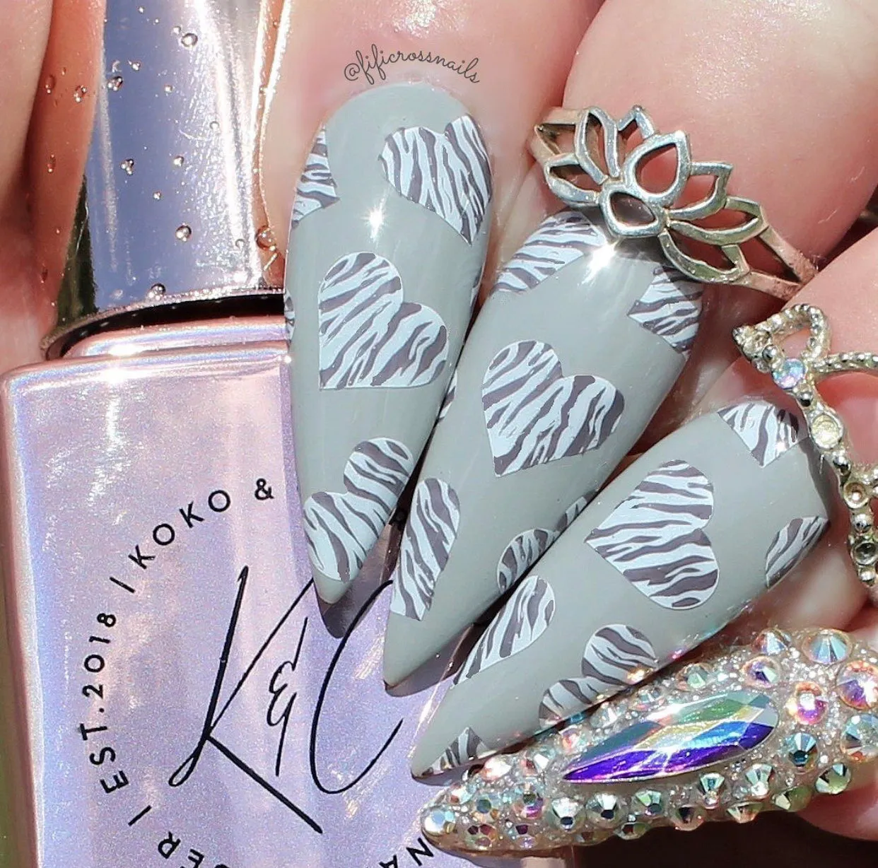 Clear Jelly Stamper Wild Zebra CjS-175 stampingplade dyr