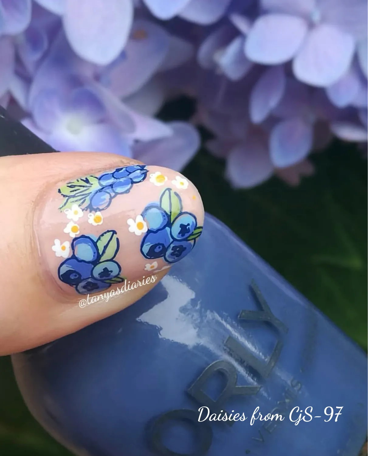 Clear Jelly Stamper CjS-211 Tropical Sensation stamping plade frugt