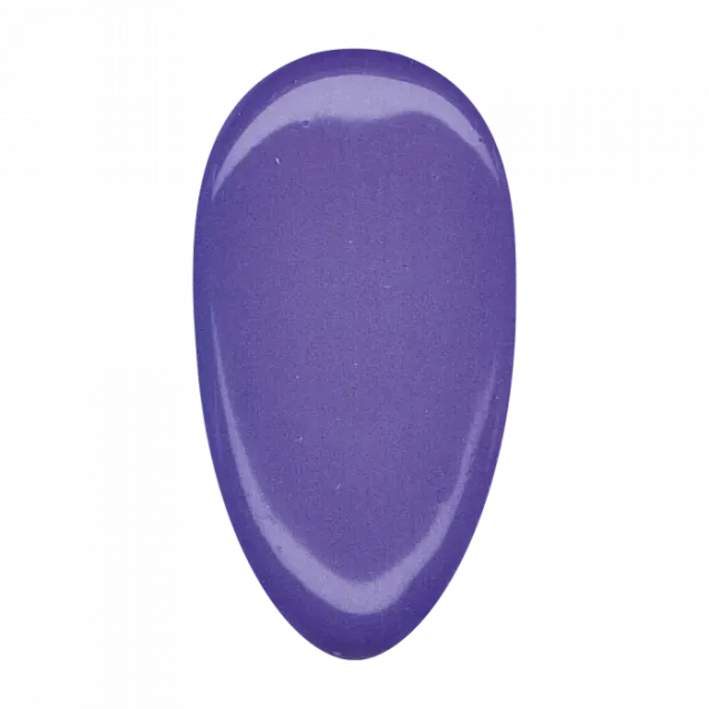 Nail Supply Color Purple FC-037 gellak 5g lilla