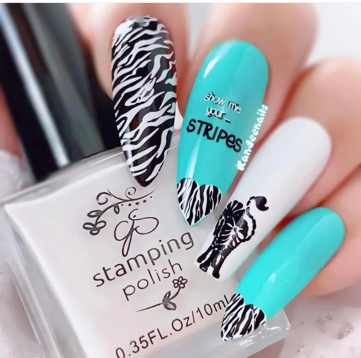 Clear Jelly Stamper Wild Zebra CjS-175 stampingplade dyr
