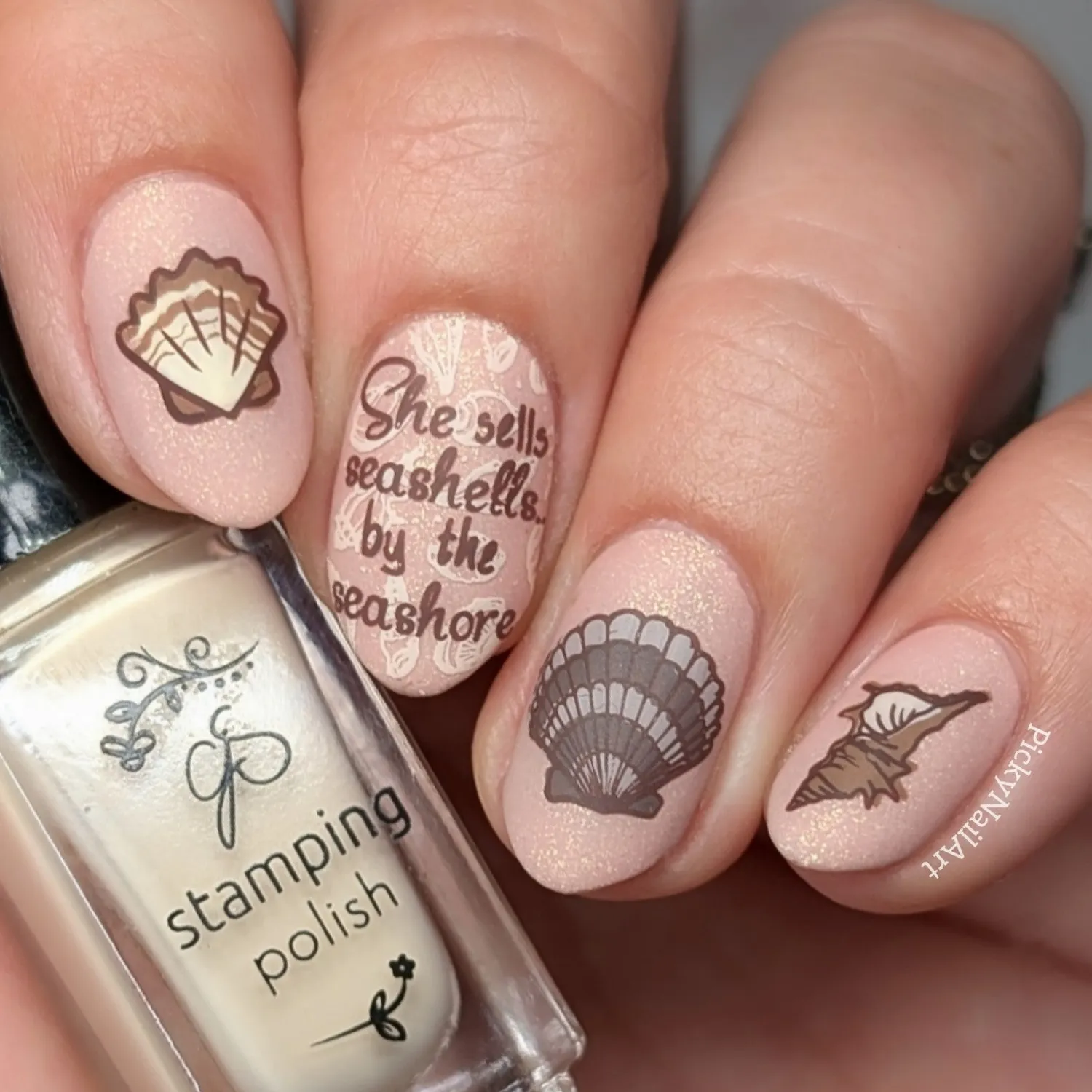 Clear Jelly Stamper CjS-368 stampingplade She Sells Seashells