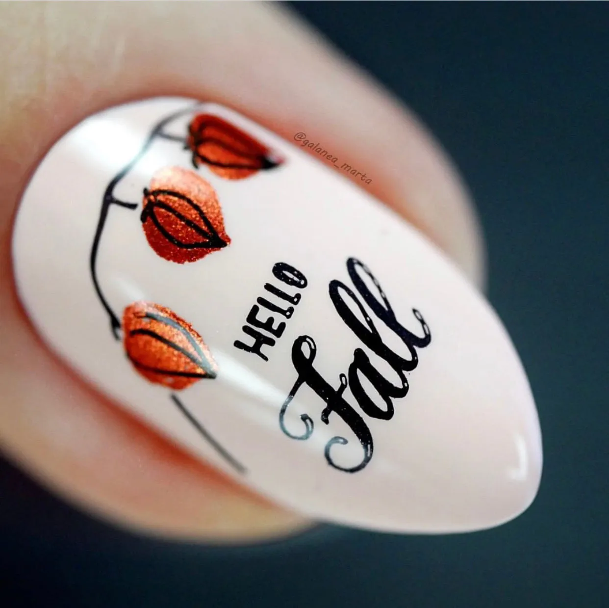 Clear Jelly Stamper CjS-169 Autumn Trails stamping plade efterår